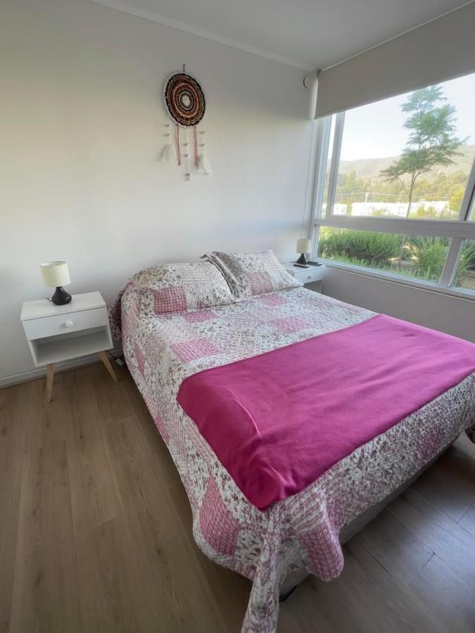 Haydee Lomas De Papudo IV Lejlighed Eksteriør billede
